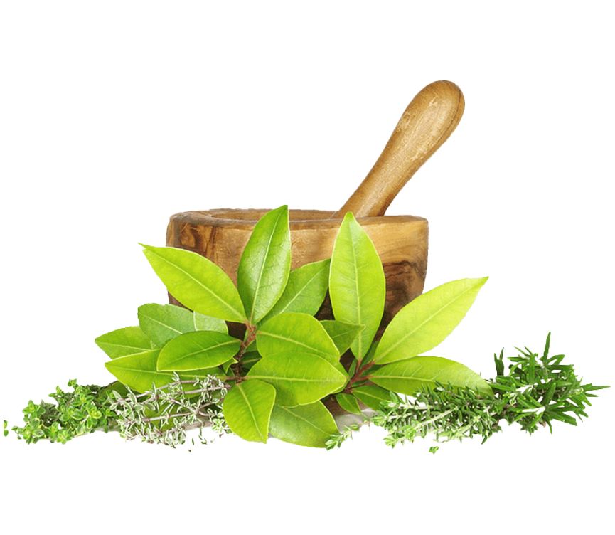HerbalMed herbal wellness products